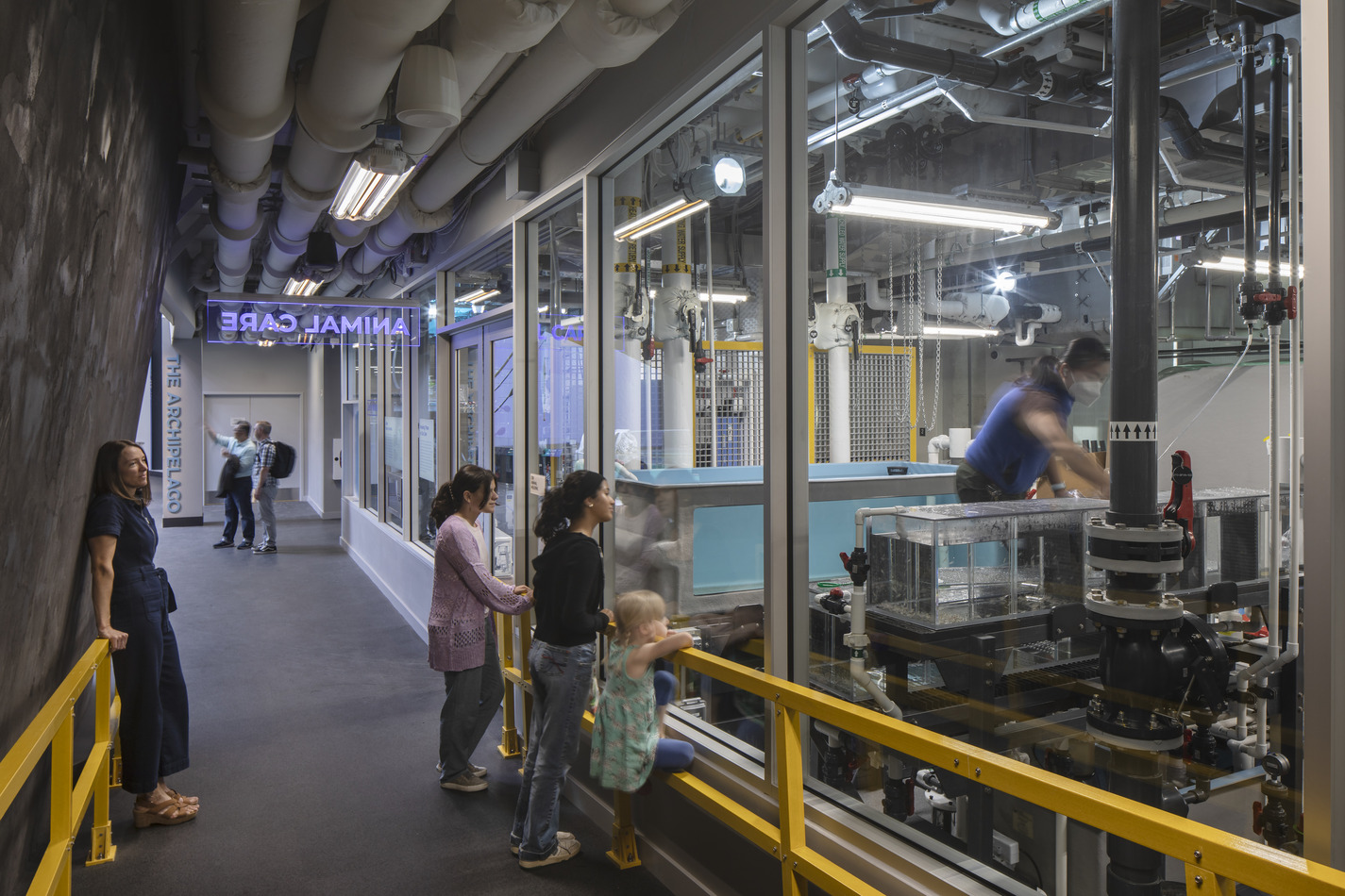 Sustainable Plumbing Engineering | PAE