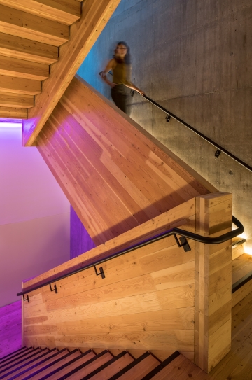 Health and Happiness Petal | Stairs