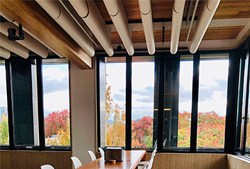 Health and Happiness Petal | Daylighting