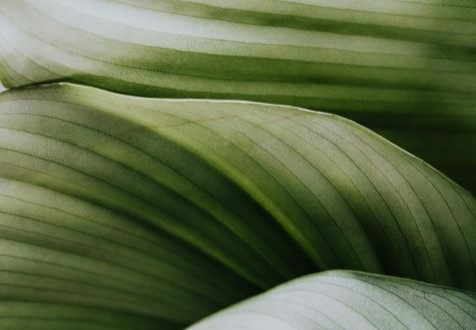 2026 Predictions from PAE Leaders